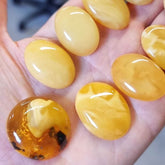 Milky Amber Free Shape Cabochons
